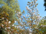 DSCN1451.JPG