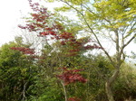 DSCN1452.JPG