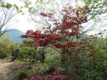 DSCN1454.JPG