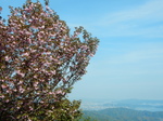 DSCN1457.JPG