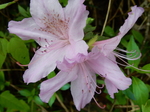 DSCN1472.JPG