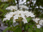 DSCN1476.JPG