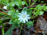 DSCN1477.JPG