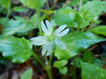 DSCN1482.JPG