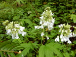 DSCN1487.JPG