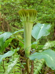 DSCN1492.JPG