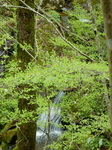 DSCN1509.JPG