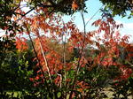 DSCN1669.JPG