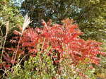 DSCN1671.JPG