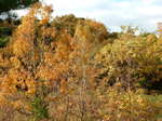 DSCN1674.JPG