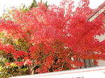 DSCN1679.JPG