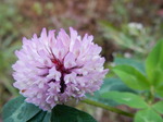 DSCN1682.JPG