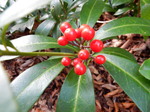 DSCN1688.JPG