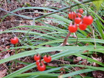 DSCN1692.JPG