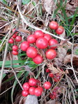DSCN1696.JPG