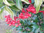DSCN1700.JPG