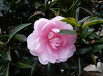 DSCN1701.JPG
