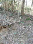 DSCN1938.JPG