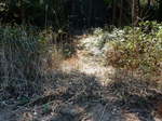 DSCN1941.JPG