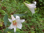 DSCN2006.JPG