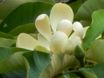 DSCN2028.JPG