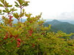 DSCN2040.JPG