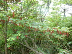DSCN2054.JPG