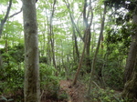 DSCN2062.JPG