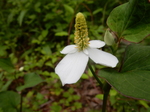 DSCN2083.JPG
