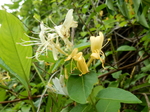 DSCN2085.JPG