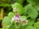 DSCN2086.JPG