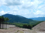 DSCN2093.JPG