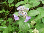 DSCN2104.JPG