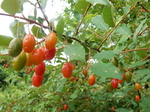DSCN2111.JPG