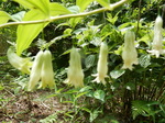 DSCN2124.JPG