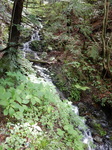 DSCN2139.JPG