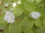 DSCN2140.JPG