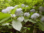 DSCN2145.JPG
