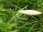 DSCN2159.JPG