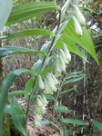DSCN2166.JPG