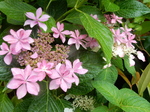 DSCN2177.JPG
