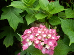 DSCN2180.JPG