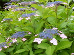DSCN2182.JPG
