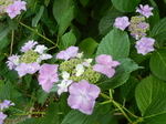 DSCN2185.JPG