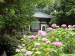 DSCN2191.JPG