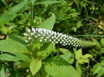 DSCN2212.JPG