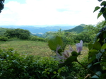 DSCN2219.JPG