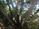 DSCN2232.JPG