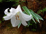 DSCN2233.JPG