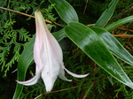 DSCN2234.JPG